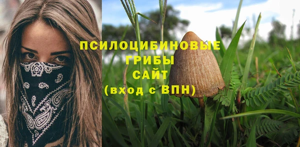 бошки Баксан