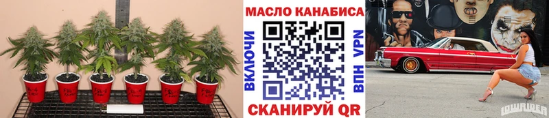 Купить где  Ленинградская  ТГК жижа 