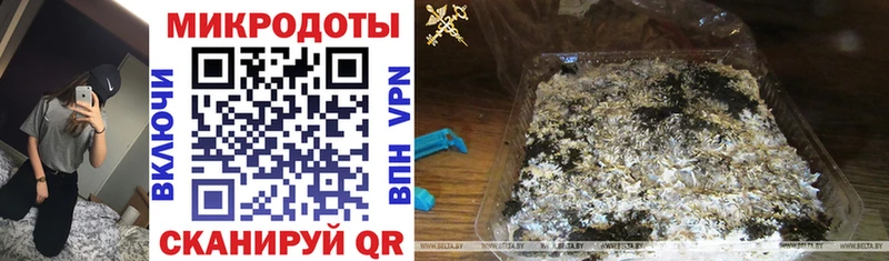 Псилоцибиновые грибы Psilocybine cubensis  Купить где  Ленинградская 